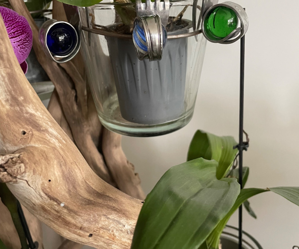 Escargot boulet pour pot